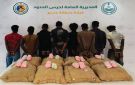 ضبط (8) إثيوبيين لتهريبهم (160) كيلوجراما من نبات القات المخدر في عسير - sa