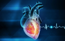 اكتشاف جزيء يعيد تنشيط القلب بعد النوبات القلبية