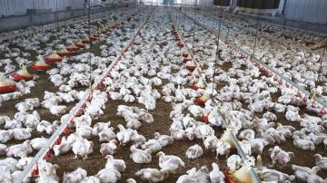 مبيعات البورصة العقارية تتخطى 830.2 مليون ريال