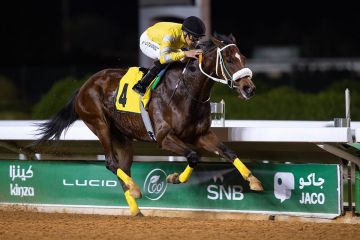 صراع الكبار في ميدان الملك عبدالعزيز.. نخبة الخيل العربية تتنافس على كأس رئيس دولة الإمارات