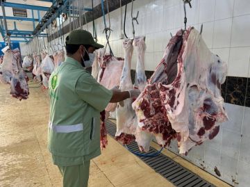 في هجمات ليلية متبادلة.. روسيا وأوكرانيا تسقطان 90 مسيرة