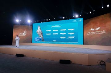 بيع شاهين فرخ في الليلة الـ19 لمزاد نادي الصقور السعودي 2025
