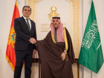 وزير الخارجية يستقبل وزير خارجية الجبل الأسود