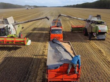 بعد 30 عاما من التوقف.. روسيا تعيد تشغيل خط القمح إلى القوقاز بعد 30 عاما من التوقف.. روسيا تعيد تشغيل خط القمح إلى القوقاز