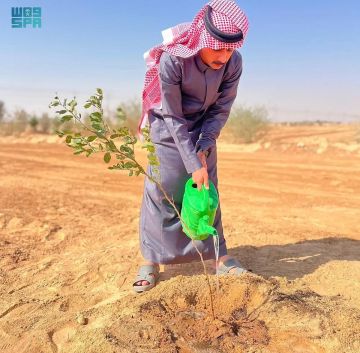 تشجير روضة هباس بـ5 آلاف شتلة ضمن حملة للغطاء النباتي في الحدود الشمالية