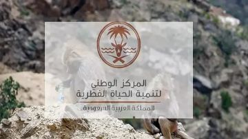 الحياة الفطرية تعلن نتائج دراسة تكشف عن تنوع أحيائي غير مسبوق في البحر الأحمر الحياة الفطرية تعلن نتائج دراسة تكشف عن تنوع أحيائي غير مسبوق في البحر الأحمر