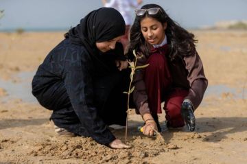 بين رأي الطبيب ومشاعر الإنسان.. هل يعقل أن يكون الفقد مجرد برمجة نفسية؟