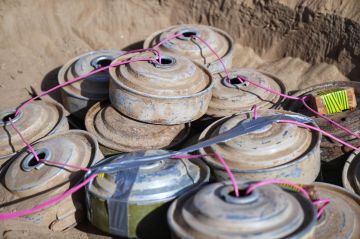 مسام ينزع (1.044) لغما من الأراضي اليمنية خلال أسبوع