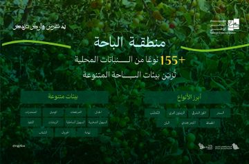 السدر واللوز والتنضب تتصدر النباتات المحلية الملائمة لتشجير الباحة السدر واللوز والتنضب تتصدر النباتات المحلية الملائمة لتشجير الباحة