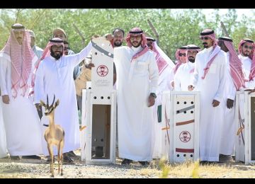 افتتاح متنزه الطائف الوطني وإطلاق 12 كائنا فطريا وتدشين مبادرات تشجير وتنمية بيئية افتتاح متنزه الطائف الوطني وإطلاق 12 كائنا فطريا وتدشين مبادرات تشجير وتنمية بيئية