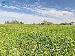 بالصور قرية الـ 300 عين على موعد مع براد الشتاء والبراري العشبية المذهلة