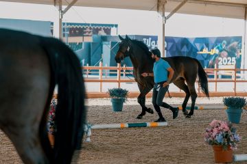 ميدان قفز السعودية يشهد غدا انطلاق جولات الرياض لقفز الحواجز