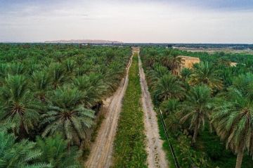 ارتفاع ضحايا فيضانات سريلانكا إلى 193 قتيلا و228 مفقودا