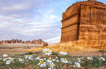 غرامات على المركبات والدراجات المخالفة.. حظر القيادة المضرة بأراضي الغطاء النباتي