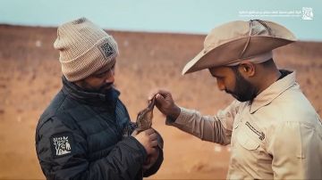 شاهد.. إنقاذ بطة مهاجرة من الإجهاد في محمية الملك سلمان الملكية