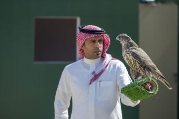 كأس نادي الصقور 2025.. يمهد الطريق لمشاركة الصقارين في مهرجان الملك عبدالعزيز