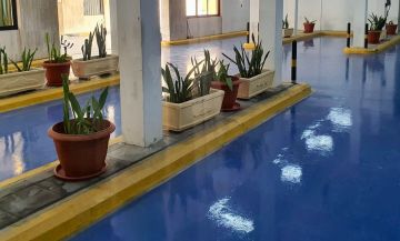 أمانة الشرقية تنفذ تجربة نوعية لتدوير الانبعاثات الكربونية أمانة الشرقية تنفذ تجربة نوعية لتدوير الانبعاثات الكربونية