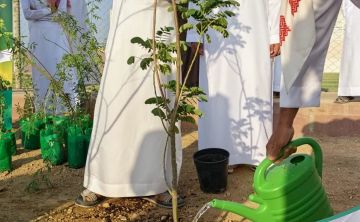 البرنامج الوطني للتشجير: السدر واللوز والتنضب والحماط من أكثر النباتات المحلية انتشارا في بيئات الباحة المتنوعة