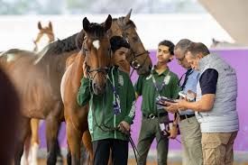 16 فارسا وفارسة يمثلون المملكة في نهائي الاتحاد الدولي لقفز الحواجز