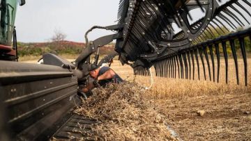 الصين تشتري 14 شحنة من فول الصويا الأمريكي