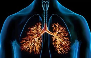 متاعب الشتاء والبرد.. كل ما يجب أن تعرفه عن التهاب الشعب الهوائية