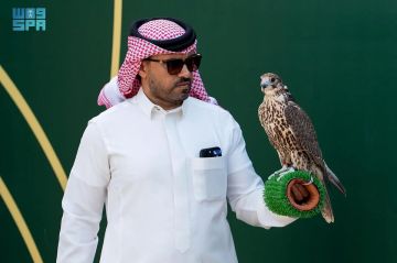 صقور المحترفين تتنافس على جوائز كأس نادي الصقور السعودي في رابع أيامه بالخبر