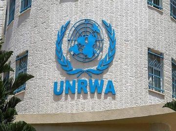 نحو (75) ألف نازح يحتمون في أكثر من (100) مبنى للوكالة في غزة