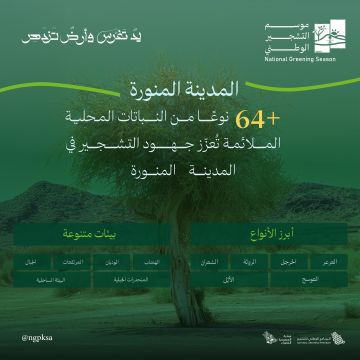 60 نوعا من النباتات المحلية تزدهر في بيئات المدينة المنورة