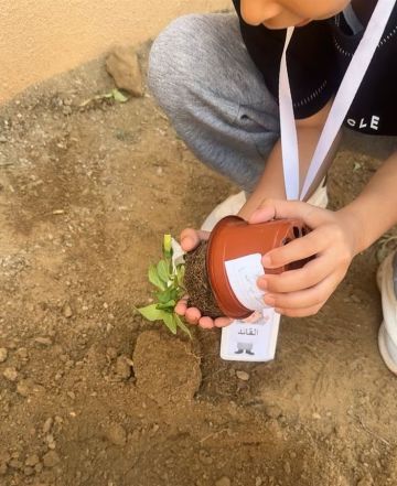 مدرسة الحدبة للطفولة المبكرة بقنا تطلق مبادرة أرضنا الخضراء وتحول فناءها لرقعة خضراء بمشاركة واسعة مدرسة الحدبة للطفولة المبكرة بقنا تطلق مبادرة أرضنا الخضراء وتحول فناءها لرقعة خضراء بمشاركة واسعة