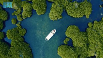 1285 جزيرة في أرخبيل جزر فرسان