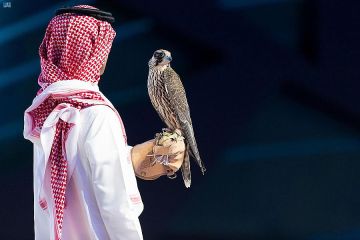 أكثر من 4.5 ملايين ريال مبيعات مزاد نادي الصقور السعودي 2025 في 18 ليلة