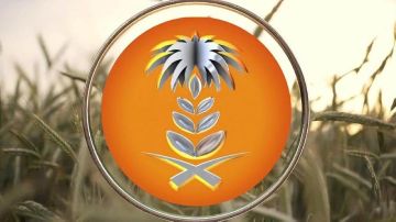 الهيئة العامة للأمن الغذائي تطرح المناقصة السادسة لهذا العام لاستيراد 300 ألف طن قمح