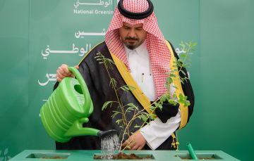 البرنامج الوطني للتشجير: المدينة المنورة تزدهر بأكثر من 60 نوعا من النباتات المحلية البرنامج الوطني للتشجير: المدينة المنورة تزدهر بأكثر من 60 نوعا من النباتات المحلية
