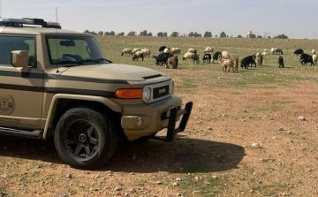 ضبط مواطنا مخالفا لنظام البيئة لارتكابه مخالفة رعي في محمية الإمام عبدالعزيز بن محمد الملكية