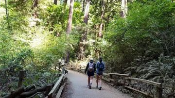 دراسة تكشف فوائد الانتباه إلى المساحات الخضراء خلال رياضة المشي