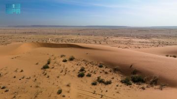 التنزه في منطقة الطوقي متاح للجميع شرط الالتزام بالضوابط