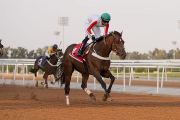 أمير الرياض يرعى اليوم كأس الأمير محمد بن سعود الكبير في سباقات الخيل أمير الرياض يرعى اليوم كأس الأمير محمد بن سعود الكبير في سباقات الخيل
