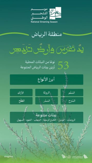 البرنامج الوطني للتشجير: الطلح والسدر والسلم تتصدر النباتات المحلية الملائمة لتشجير الرياض