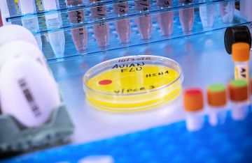 أول إصابة بشرية بسلالة H5N5 من إنفلونزا الطيور تسجل في أمريكا