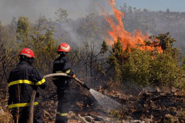 مجلس حقوق الإنسان يناقش إرسال بعثة لتقصي حقائق الجرائم في الفاشر