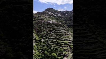 طبق جريش .. كلمة قالها وزير الطاقة السعودي بصورة جماعية تثير تفاعلا