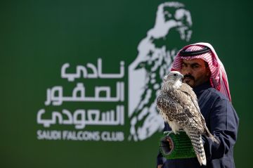 صقارون يكشفون أسرار تسجيل أقل زمن في كأس نادي الصقور السعودي 2025 بالخبر