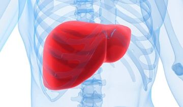 دراسة سويدية: الكبد الدهني غير الكحولي يضاعف خطر الوفاة المبكرة.. والحل في التشخيص المبكر دراسة سويدية: الكبد الدهني غير الكحولي يضاعف خطر الوفاة المبكرة.. والحل في التشخيص المبكر