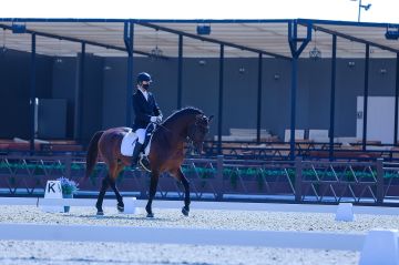 ثماني بطولات للترويض في موسم اتحاد الفروسية 2025-2026 بينها سبع بطولات وطنية ثماني بطولات للترويض في موسم اتحاد الفروسية 2025-2026 بينها سبع بطولات وطنية