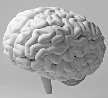 التهابات الفم والمادة البيضاء.. دراسة تحذر: أمراض اللثة قد ترتبط بالسكتة الدماغية والضعف الإدراكي