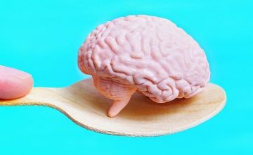 في خطوة لافتة.. علماء يطورون دماغا بشريا في المختبر بديلا للتجارب على الحيوانات