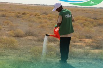 جمعية سيل تسقي 120 مليون لتر ماء لدعم الاستدامة البيئية بالرياض