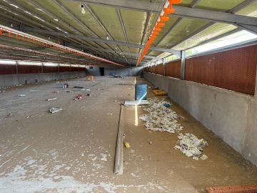 بيئة خليص تضبط مشروعان مخالفان لتربية الدواجن في مزارع غران بيئة خليص تضبط مشروعان مخالفان لتربية الدواجن في مزارع غران