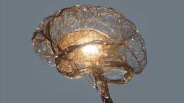 تنظيم الكهرباء: 310 ملايين تعويضات ونموذج حماية استباقي