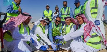 ضمن فعاليات موسم التشجير الوطني.. الري تستهدف زراعة 2 مليون شجرة
